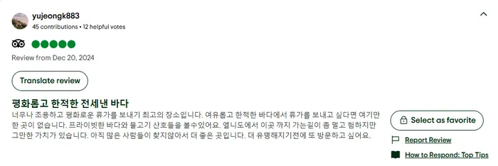 TripAdvisor 5-star review from a South Korean traveler with 45 contributions, December 2024